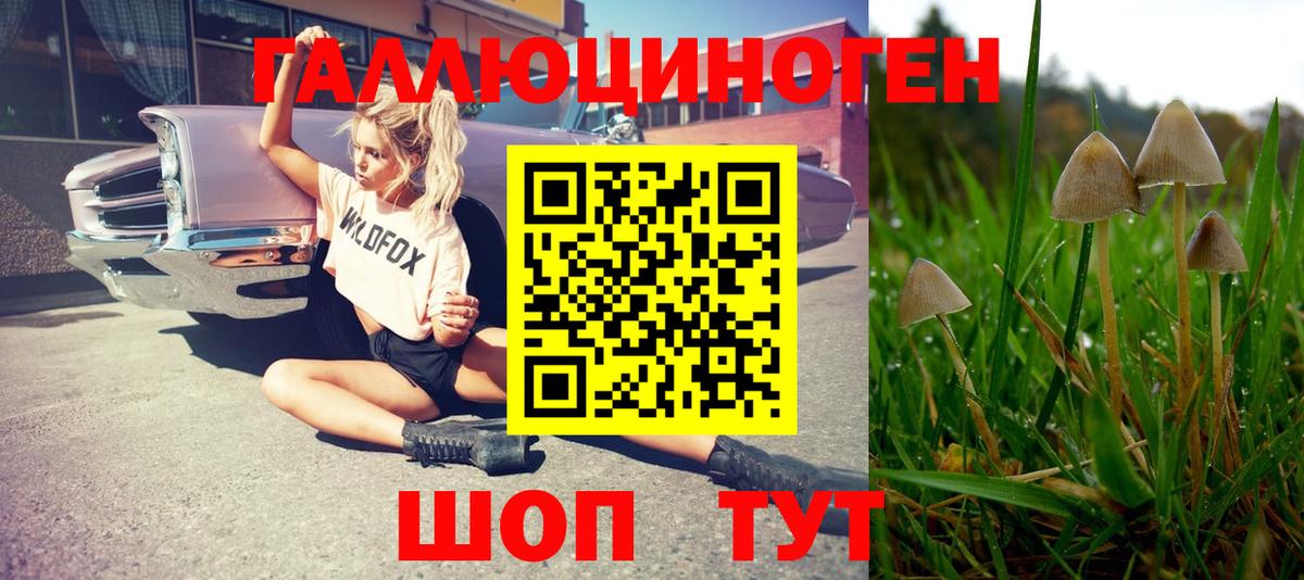 Галлюциногенные грибы Magic Shrooms Набережные Челны